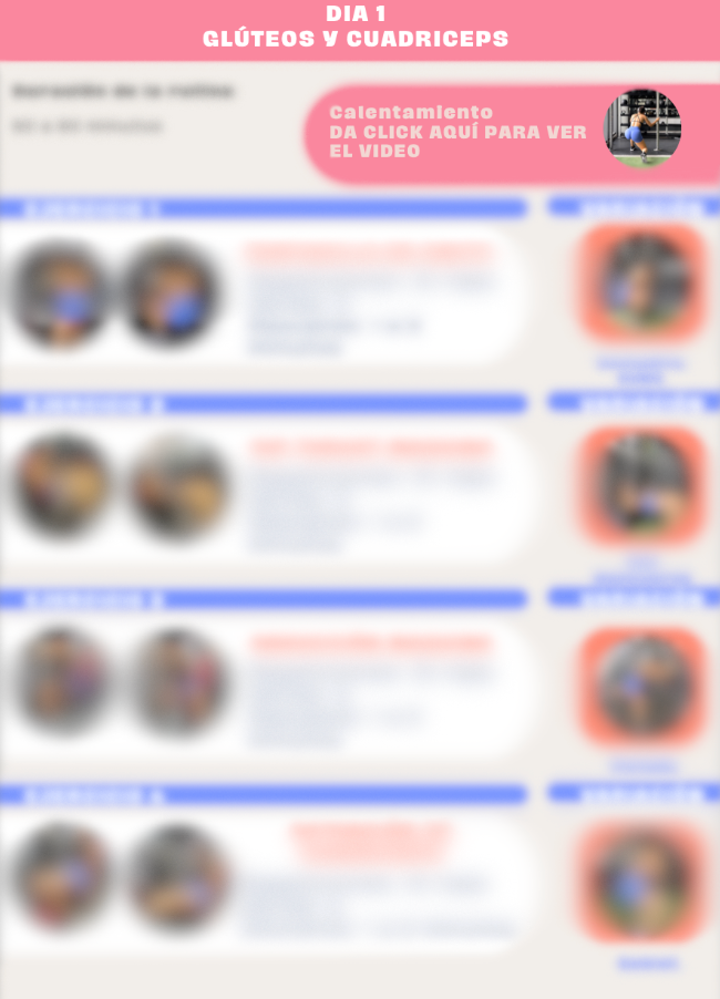 MANUAL PARA PRINCIPIANTES GYM