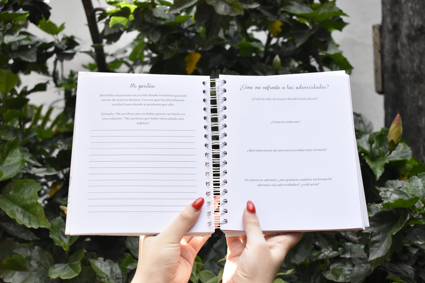 Diario de Autocrecimiento