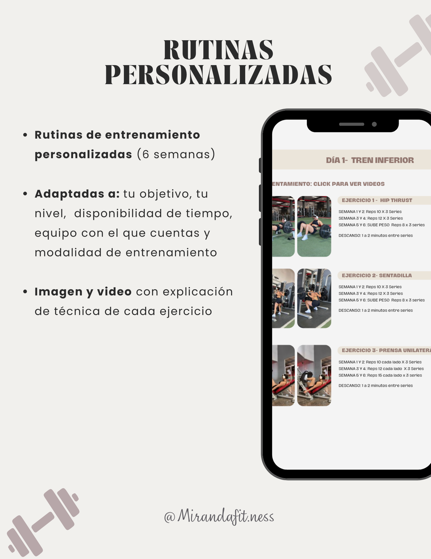 ENTRENAMIENTO PERSONALIZADO